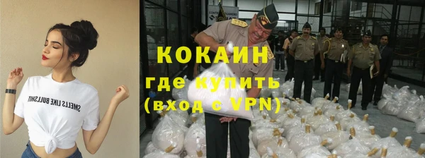 стафф Алексин