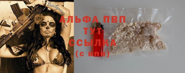 стафф Алексин