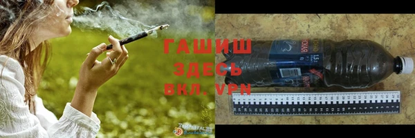 стаф Алзамай