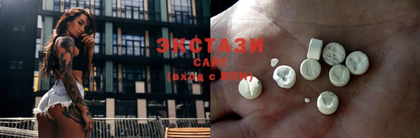 стаф Алзамай