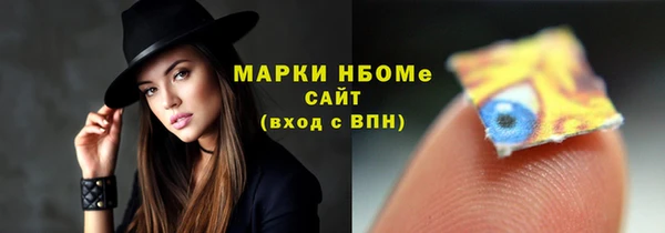 стаф Алзамай