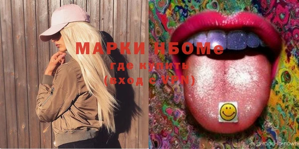 стаф Алзамай