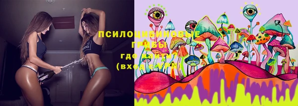 стафф Алексин